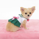 Illustration for article titled Small Dogs Cosplaying as emSailor Moon/em Characters
